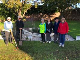 Crocus Planting